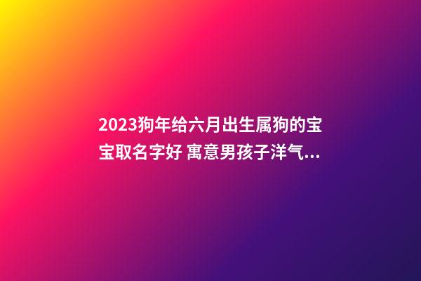 2023狗年给六月出生属狗的宝宝取名字好 寓意男孩子洋气点的小名款属狗起名大全集